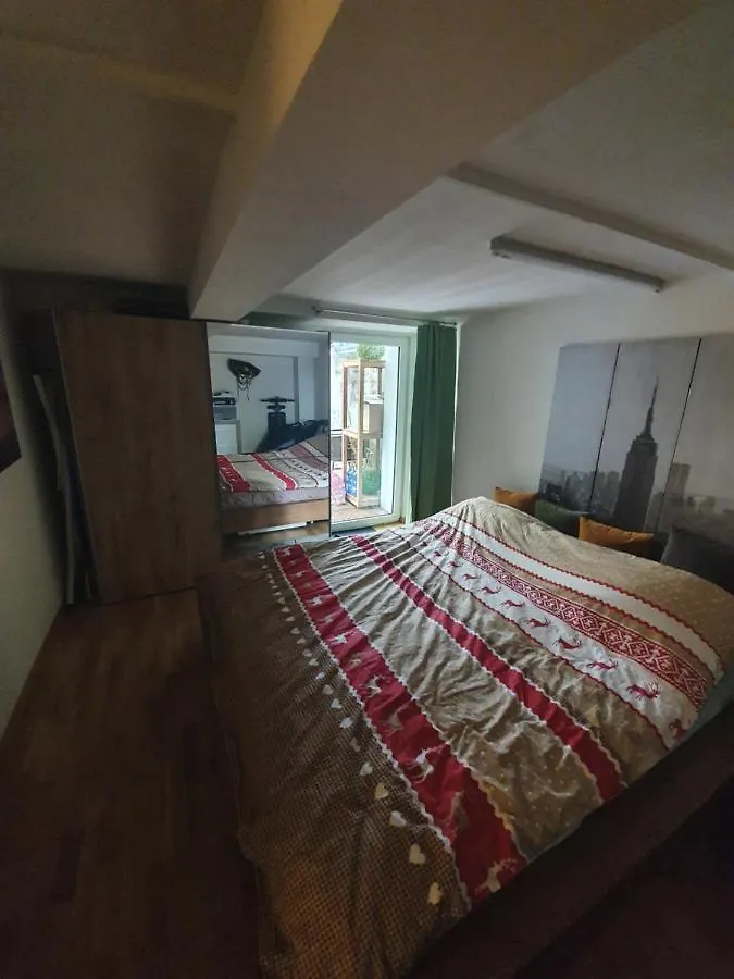 Apartment Vila Birs Basel