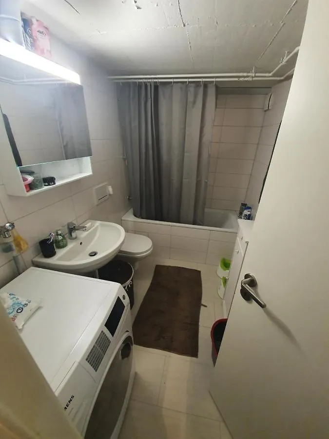 Vila Birs Basel
