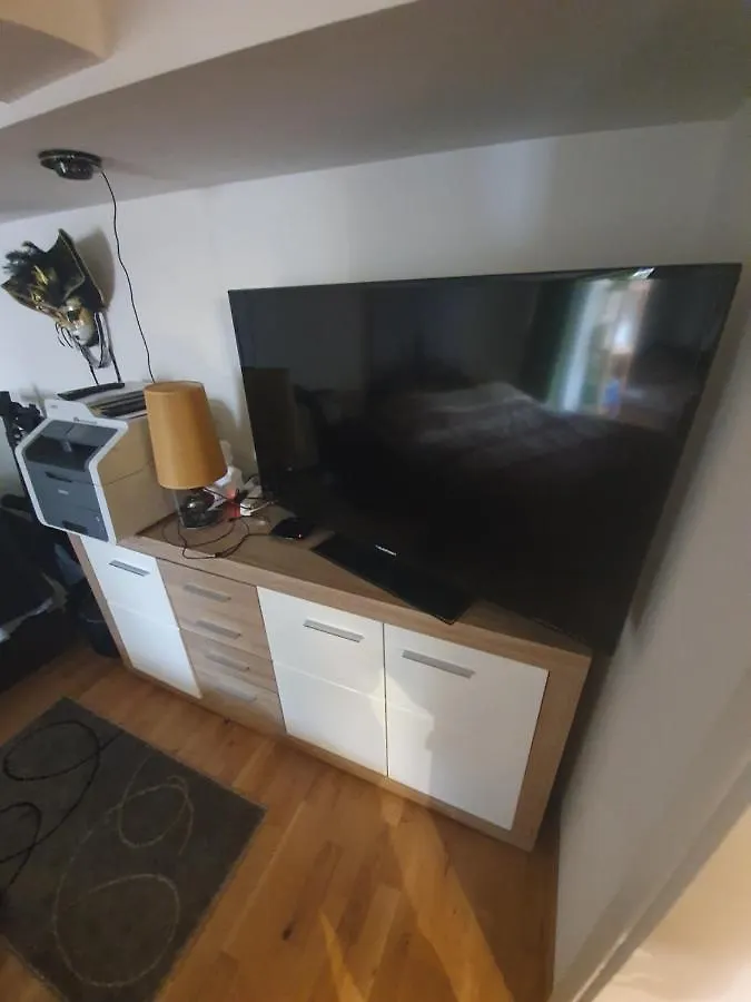 Apartment Vila Birs Basel Switzerland